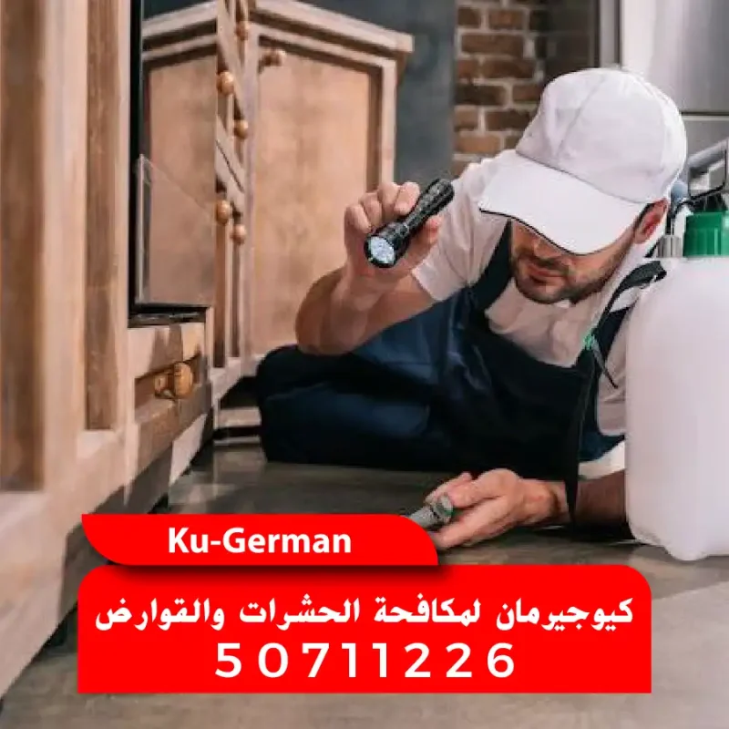 أفضل شركة مكافحة حشرات في الكويت بكفالة اتصل 50711226