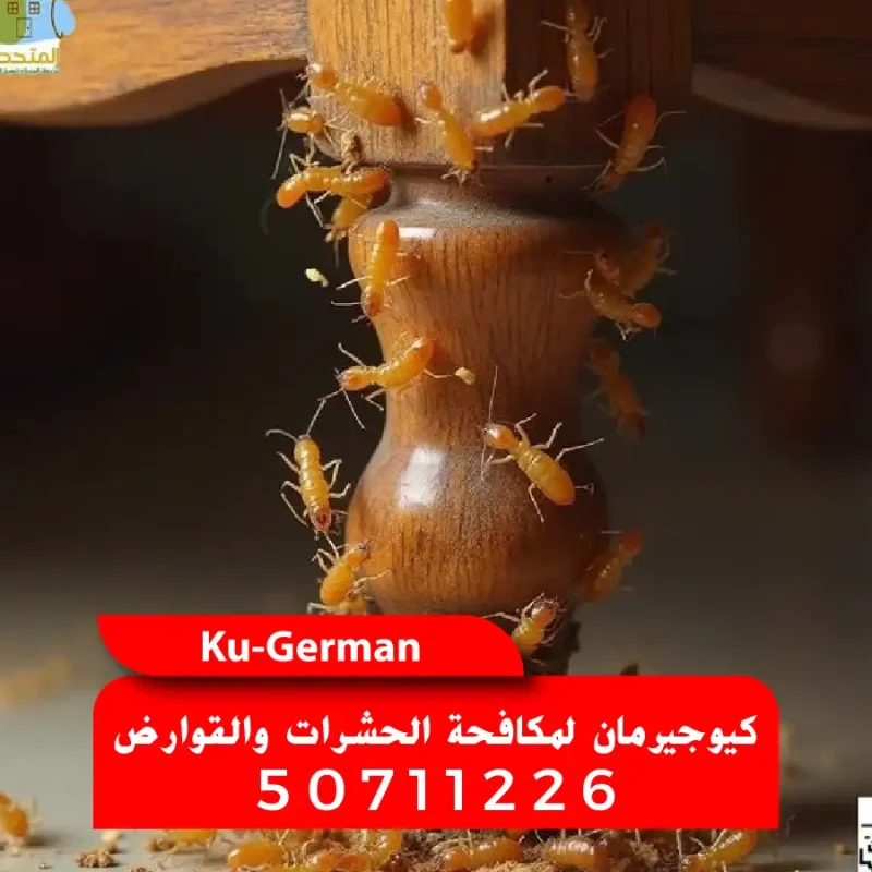 أفضل مكافحة الأرضة والنمل الأبيض في الكويت شركة كيوجيرمان 50711226